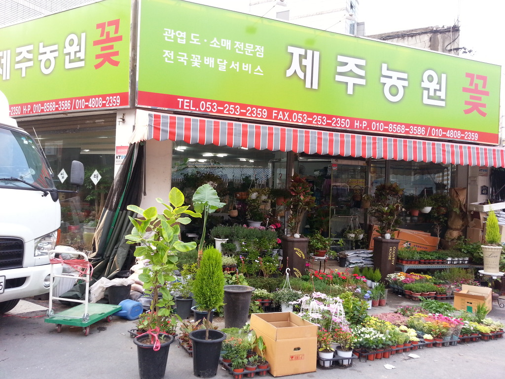 칠성농원 이미지
