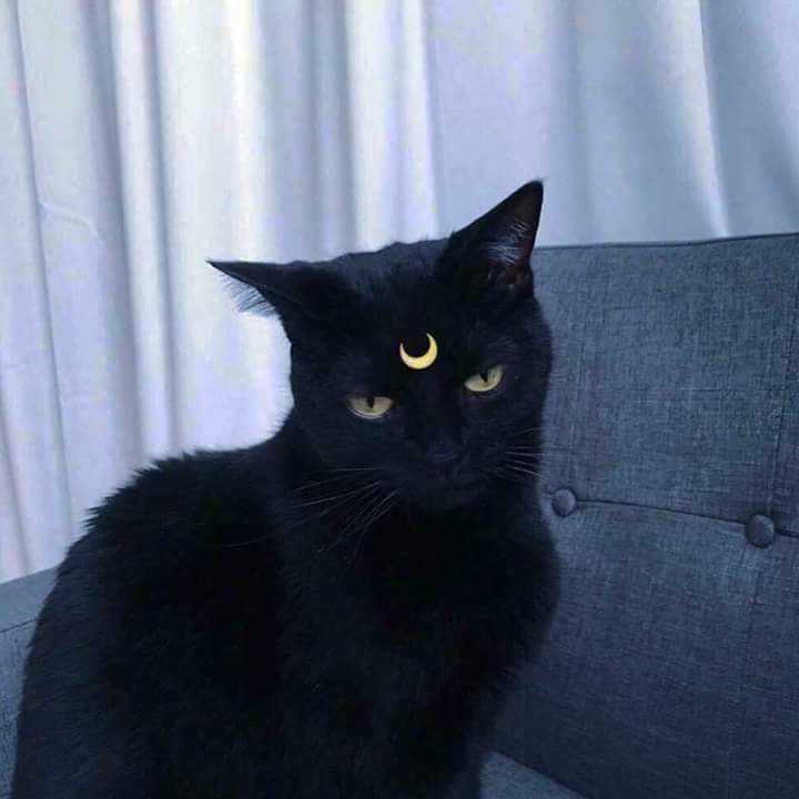 예랑 이미지