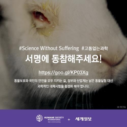 저를 죽이기 전에 눈을 한번 봐주세요(혐오주의) | 인스티즈