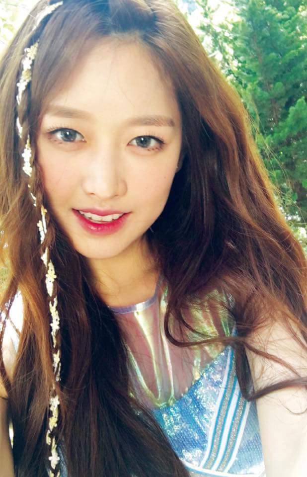 콩닭콩닭 이미지