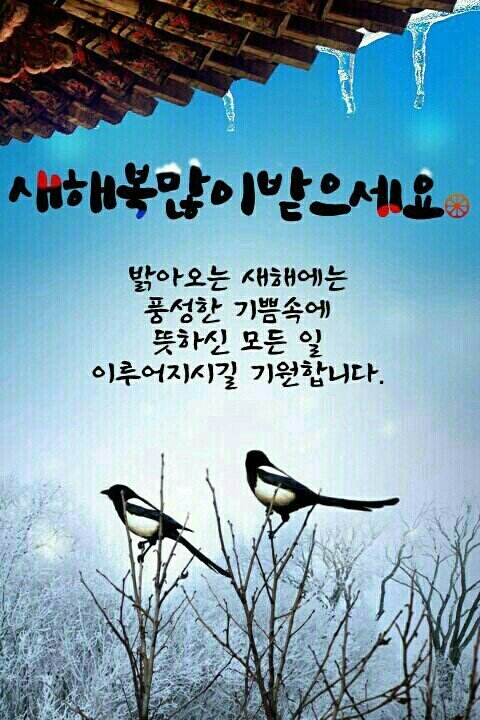 까치신발 이미지