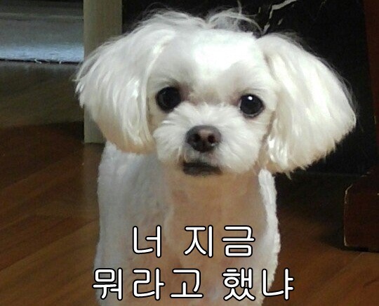 우리나라에 살면서 정말 이해가 안 가는 것 | 인스티즈