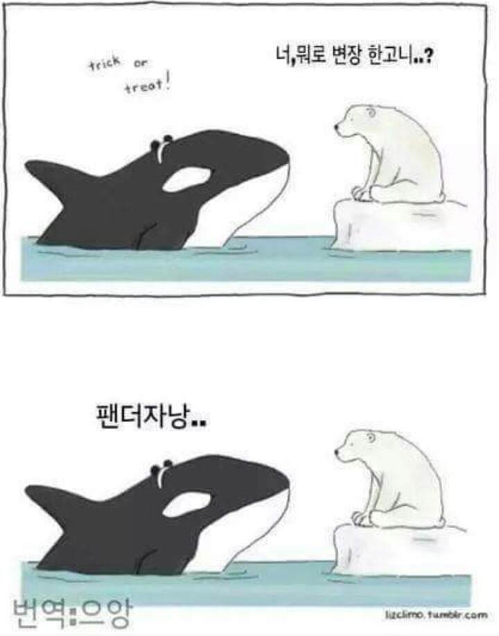 위트 이미지