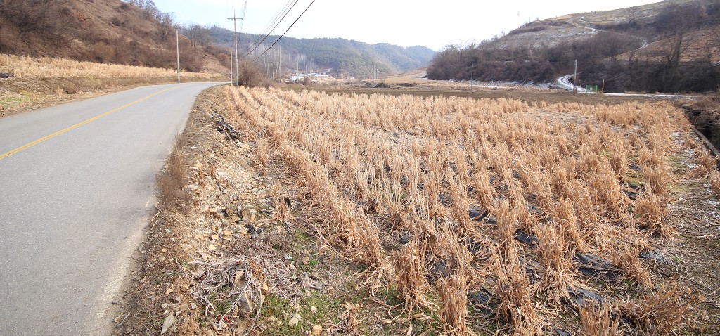 충주댐주유소 이미지