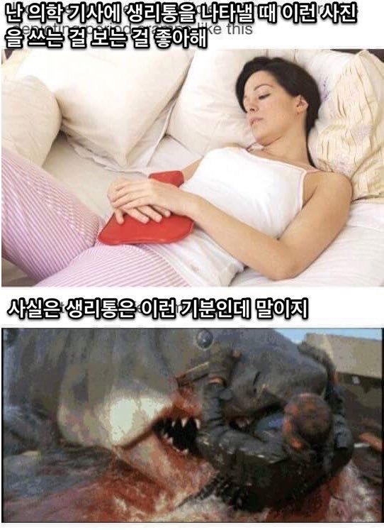 대자연 공감 | 인스티즈