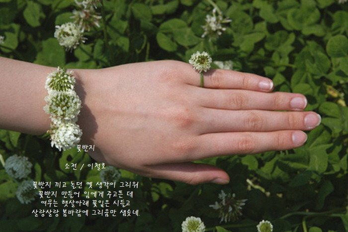 꽃반지 이미지