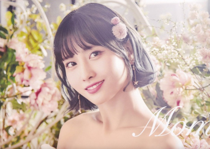 트와이스 9명 웨딩 드레스 (데이터 주의) | 인스티즈