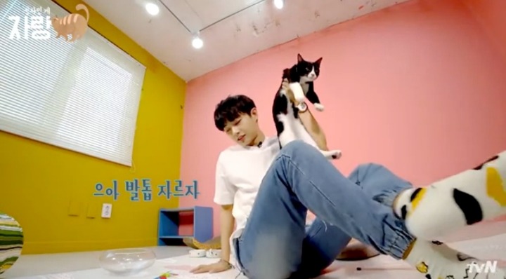 [집사인게자랑] 평화로운 고양이 발톱 자르기.jpg | 인스티즈