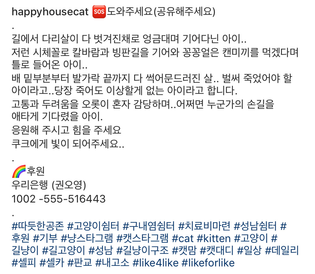 살이 썩어 문드러진상태로 밥을 먹겠다고 통덫에 들어간 고양이를 도와줘 🙏🏼 (사진주의...) | 인스티즈