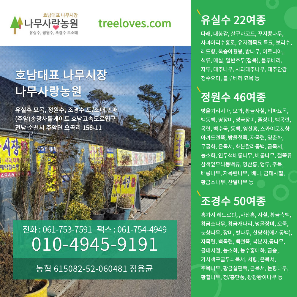 나무사랑 이미지