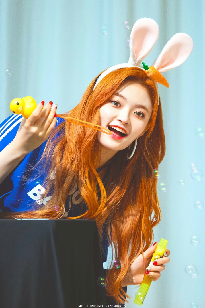 다이아 정산 기원 1일차 | 인스티즈