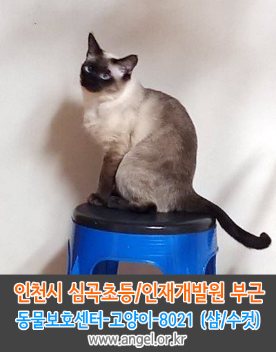 인천광역시인재개발원 이미지