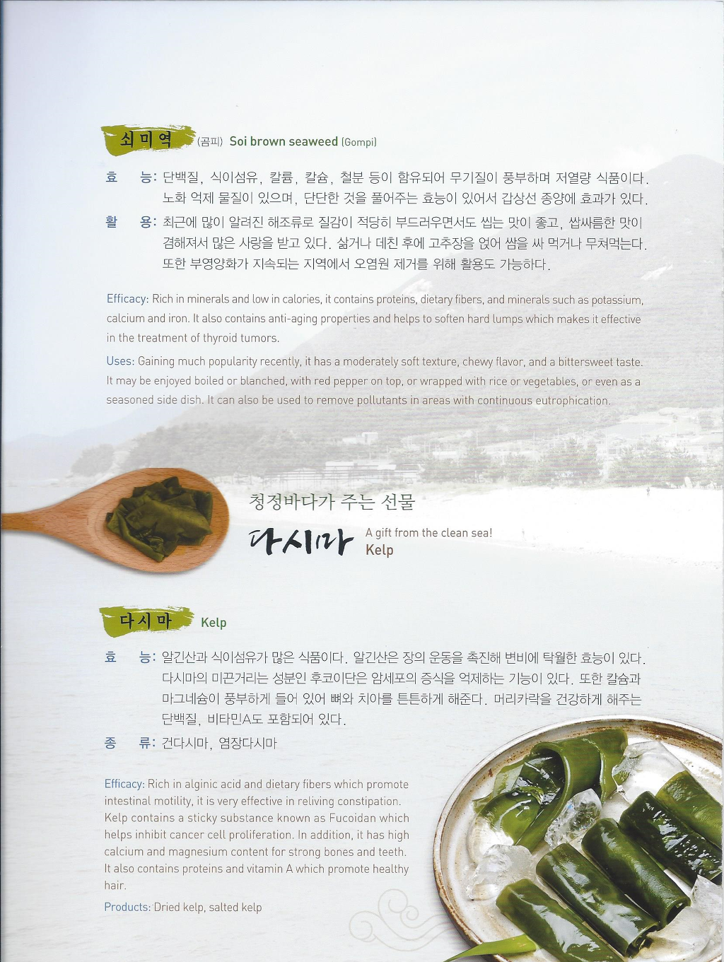 청정미역 이미지