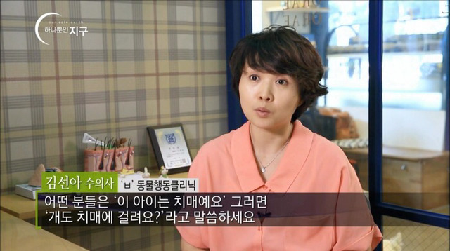 처음 반려동물 키우기 시작했을 때 너무 좋고 예뻐서 생각하지 못하는 것.jpg | 인스티즈