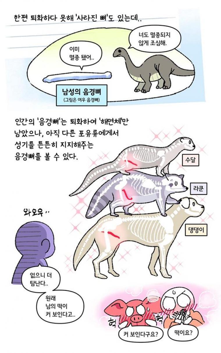 남성들이 진화로 잃어버린 것.JPG | 인스티즈