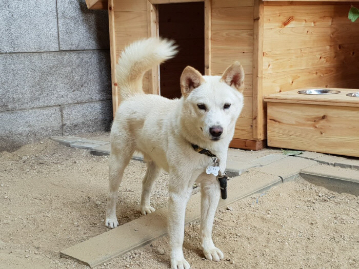 이제 동물칭구칭긔들 다섯마리 모여사는 대통령 관저💙 | 인스티즈
