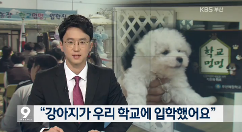 부산혜원학교 이미지