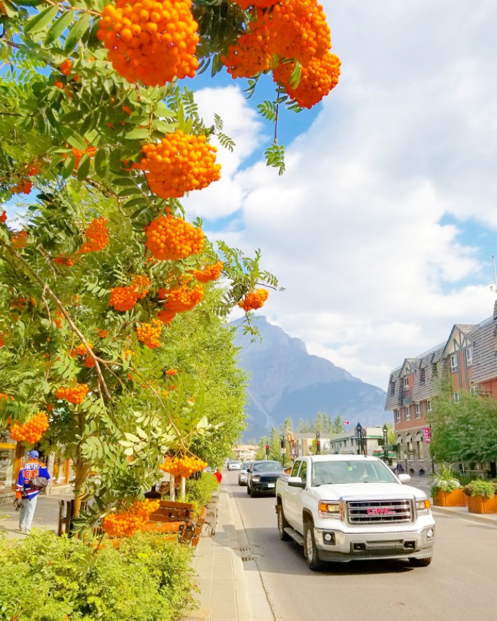 캐나다 사진 | 인스티즈