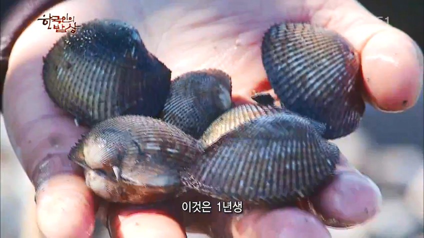 한국인의 밥상 - 인생이 허기질 때 장도로 가라 | 인스티즈