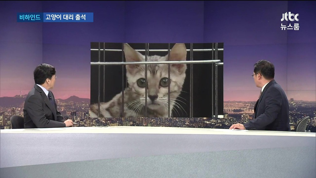 김진태가 국감에 고양이를 퓨마 대신 가져온 이유 | 인스티즈
