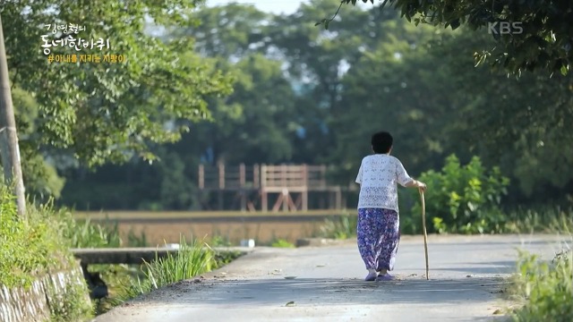 할머니를 위해 할아버지가 남긴 마지막 선물 | 인스티즈