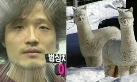 다음중 가장 완벽한 싱크로율을 보이는 커플은? | 인스티즈
