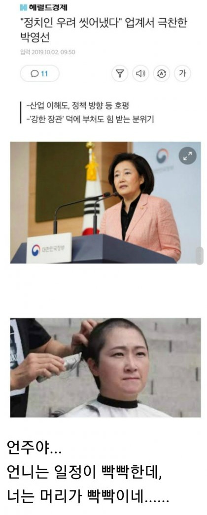 2020년에도 계속되는 언주야 언니는 시리즈 (new) | 인스티즈