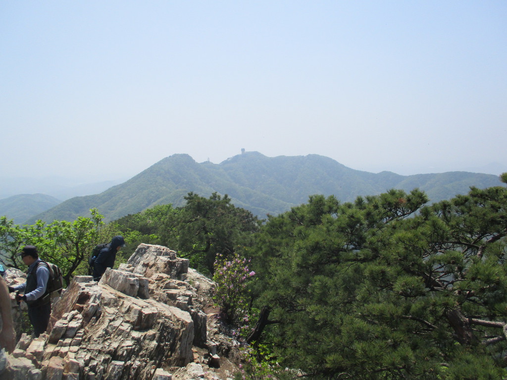 슬기정 이미지