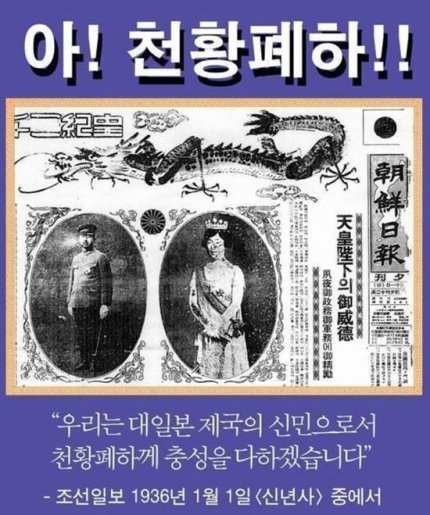 폭주하는 조선일보 | 인스티즈