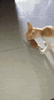 원룸에서 다둥이 키우는 신혼부부 | 인스티즈