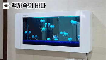 광명메디피아의원 이미지