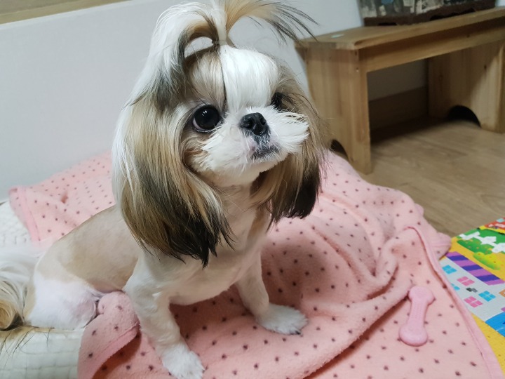 오늘 스파 이미지