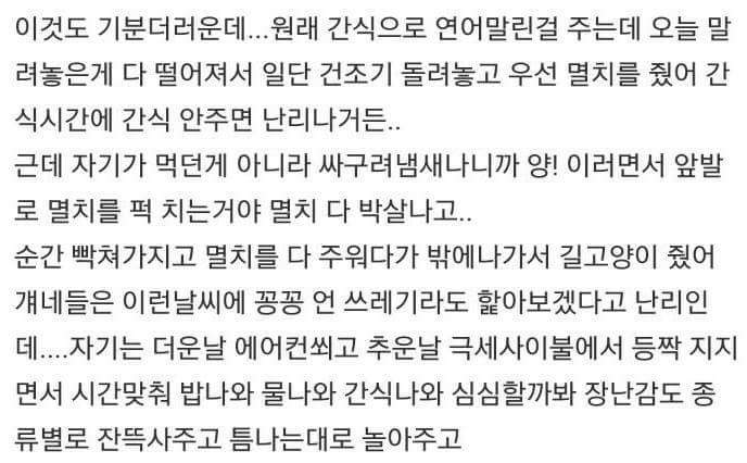 는 고양이한테 상처받앗다.. | 인스티즈