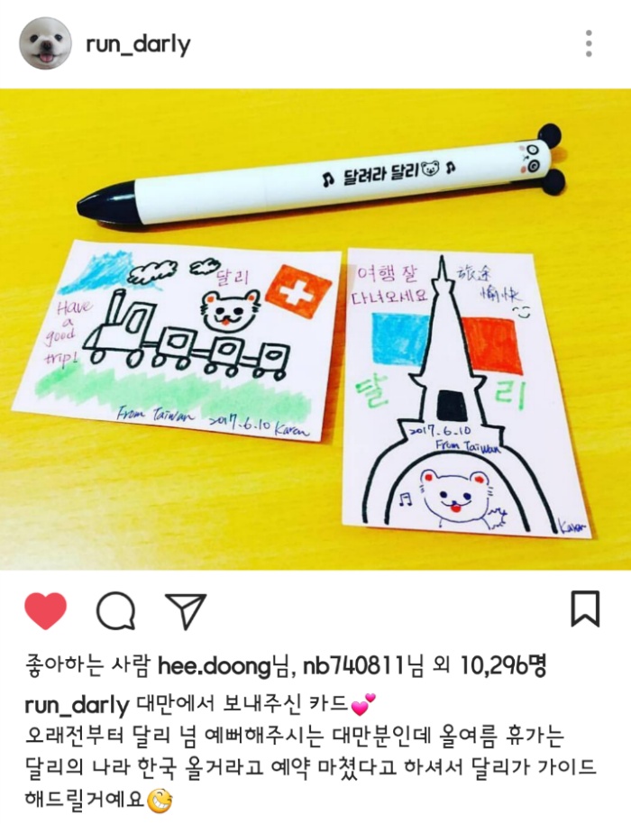 대만사람까지 꼬시고 다니는 한류 스타 강아지 달리 | 인스티즈