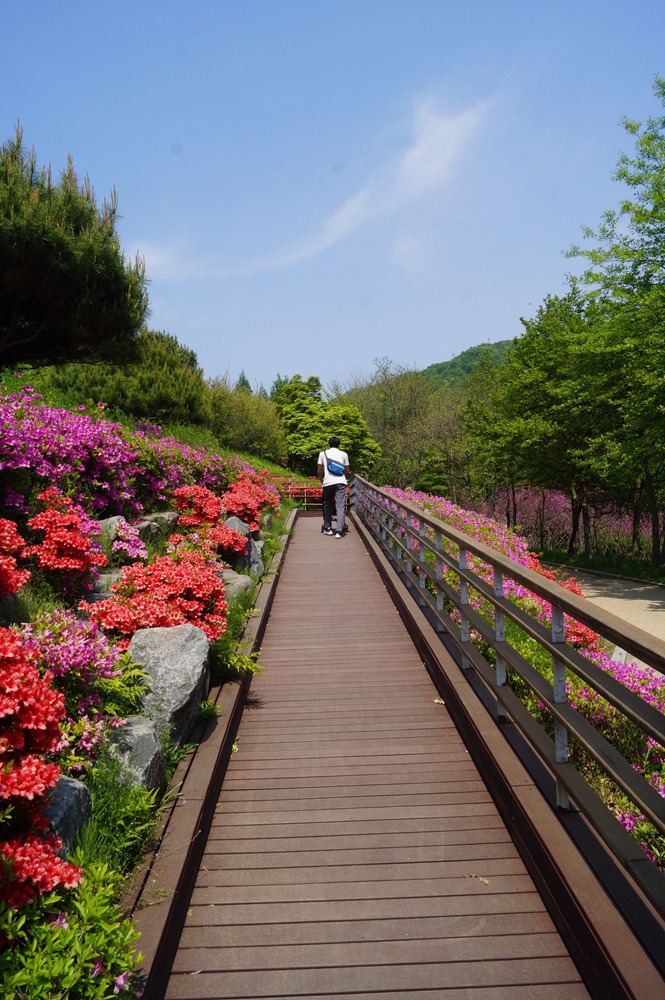 미동산수목원 이미지