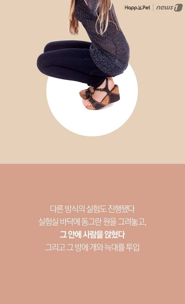개들은 왜 처음보는 사람도 좋아할까? (이유충격) | 인스티즈