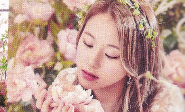 트와이스 9명 웨딩 드레스 (데이터 주의) | 인스티즈