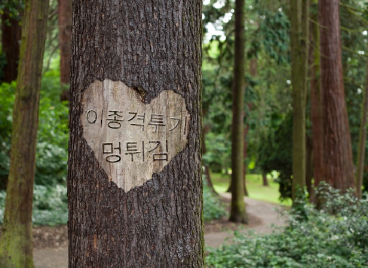 여자 컬링 국가대표선수가 된 이유 | 인스티즈