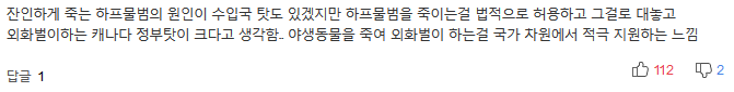 한국의 보신문화·비뚤어진 교육열이 캐나다 물범을 죽인다 | 인스티즈