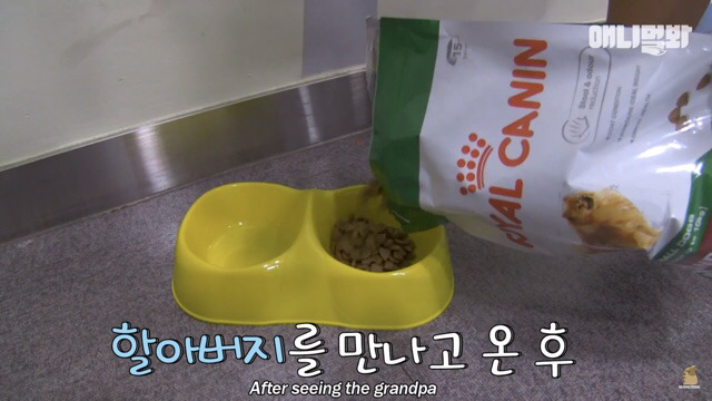 주인님이 열흘 째 문을 열어주지 않아요.. (캡쳐) | 인스티즈