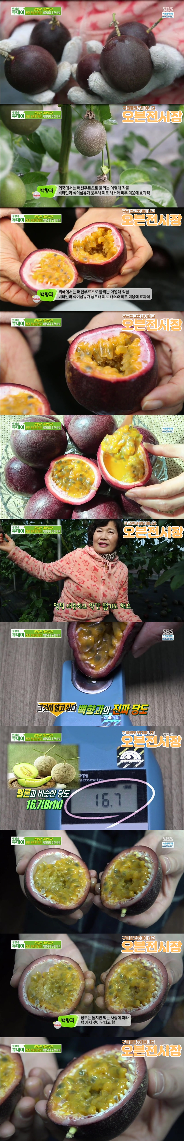 신맛밖에 안 나는데 의외로 좋아하는 사람들이 많은 과일.jpg | 인스티즈