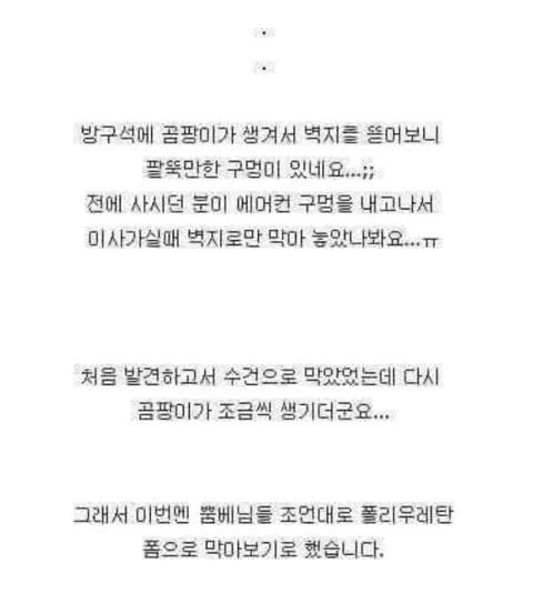 바나나킥 만드는 공장 | 인스티즈