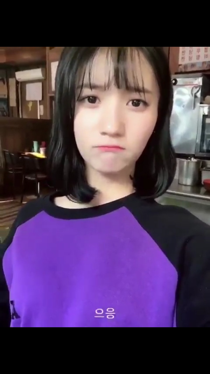 보라사 이미지