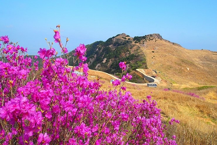 화왕산 이미지