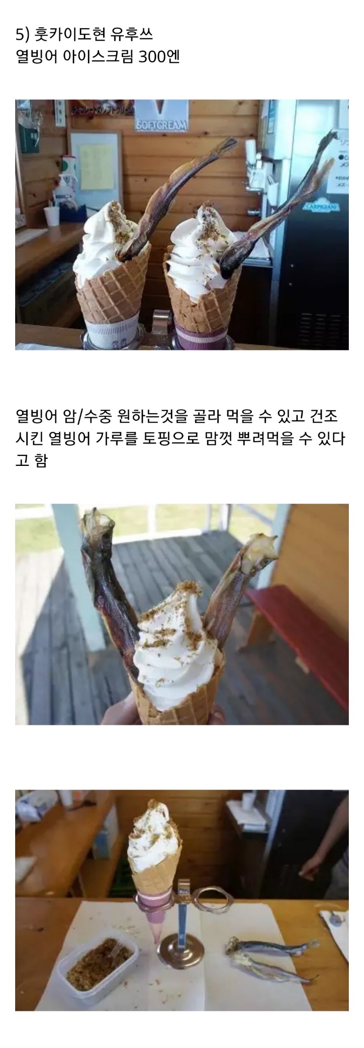 일본 이색 아이스크림 | 인스티즈