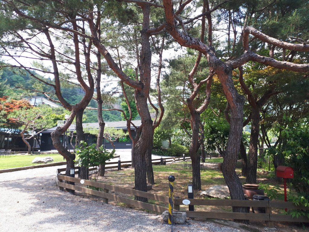 아름드리펜션 이미지