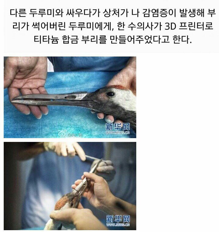 나약했던 과거는 잊어라 | 인스티즈