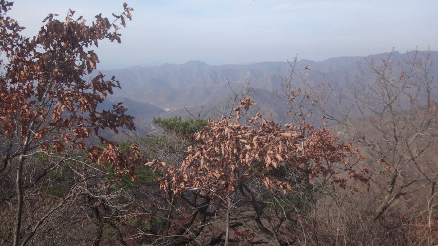 종자산 정상 이미지