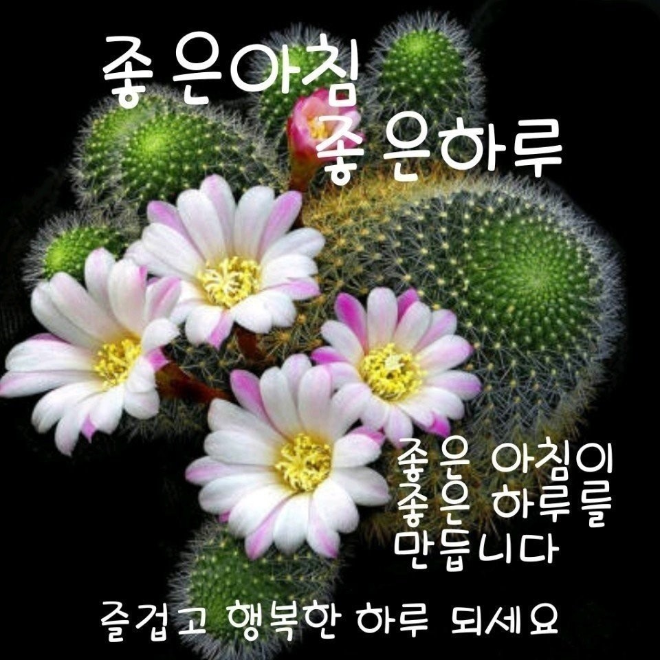 행복미소(주) 이미지