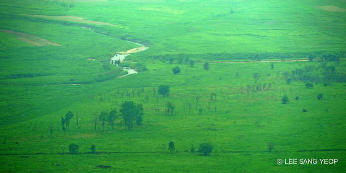 전세계에서 가장 보존이 잘 된 온대림 | 인스티즈